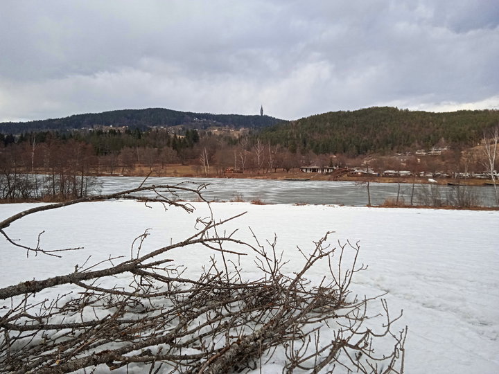 Moorlandschaft beim Hafnersee 2. Foto: Birgit Frank