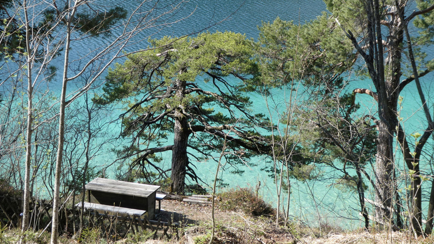 Kroatische oder doch eher griechische Küste. Foto: Karl Plohovich