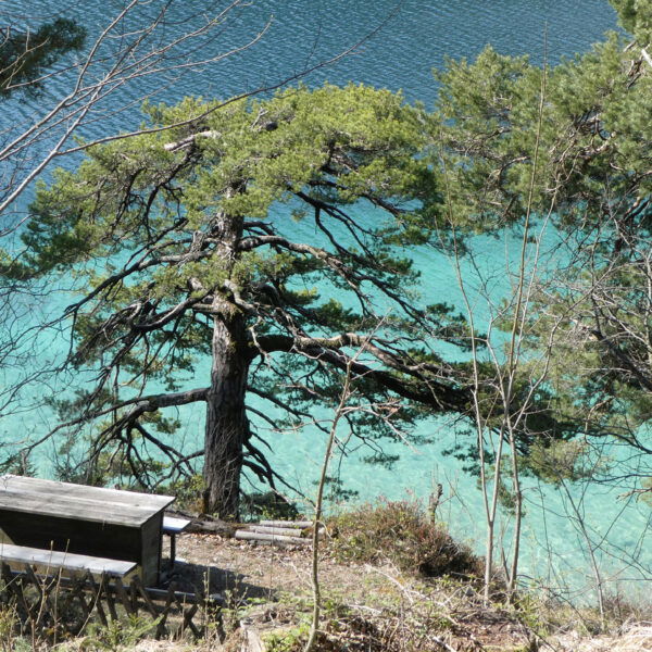 Kroatische oder doch eher griechische Küste. Foto: Karl Plohovich
