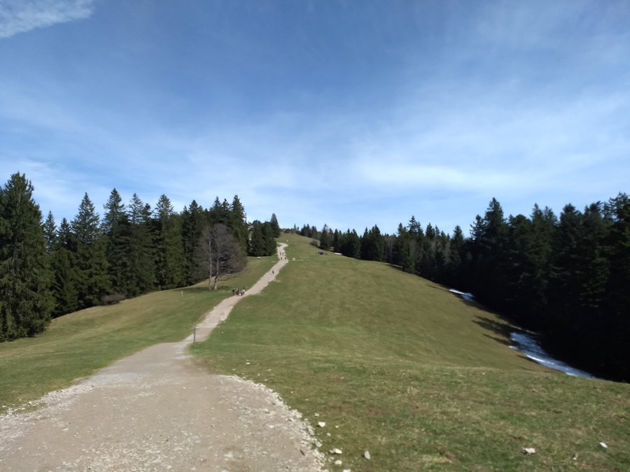 Kurz vor dem Neureuthhaus auf der Gipfelwiese. Foto: Nikolaus Vogl