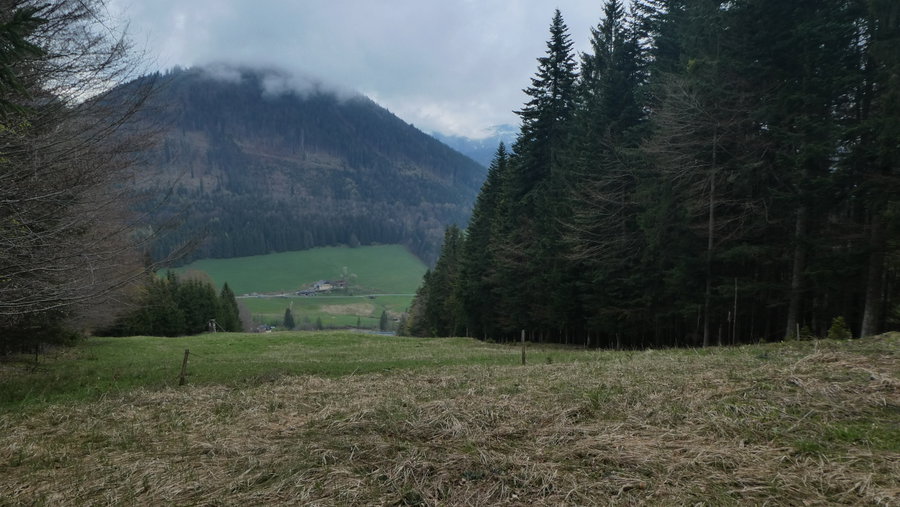 Ehemalige Skipiste. Foto Karl Plohovich