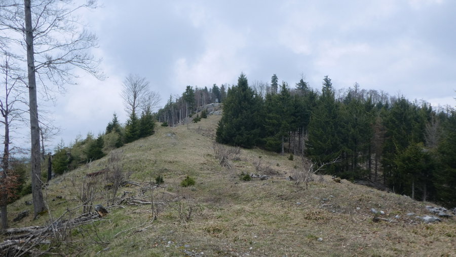 Gipfelplateau. Foto Karl Plohovich