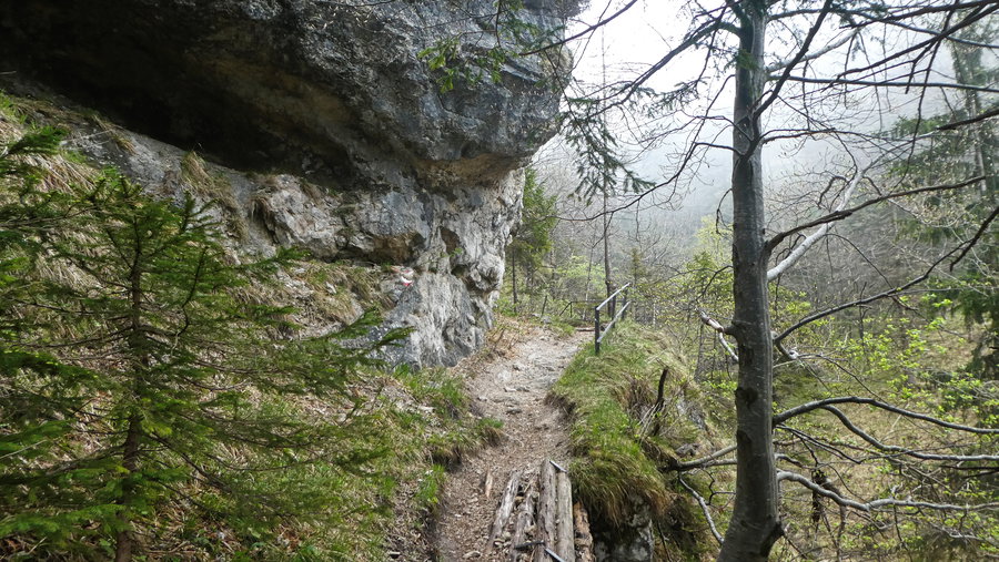 Nocksteinschlucht. Foto: Karl Plohovich