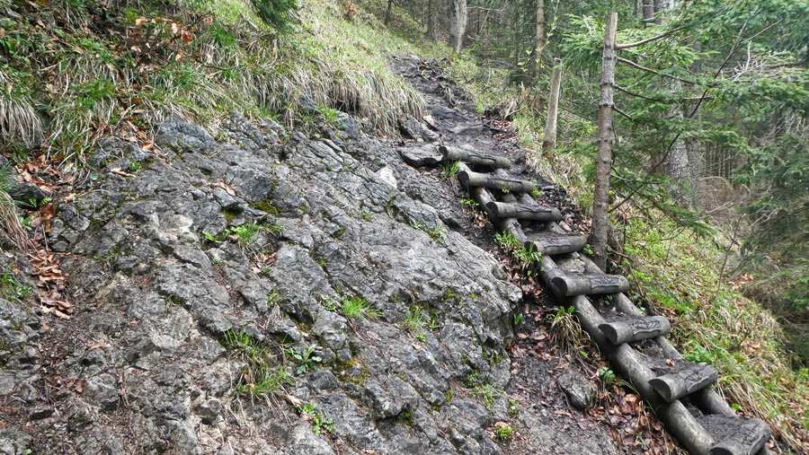 Treppe am Weg zum Gaisberggipfel. Foto: Karl Plohovich