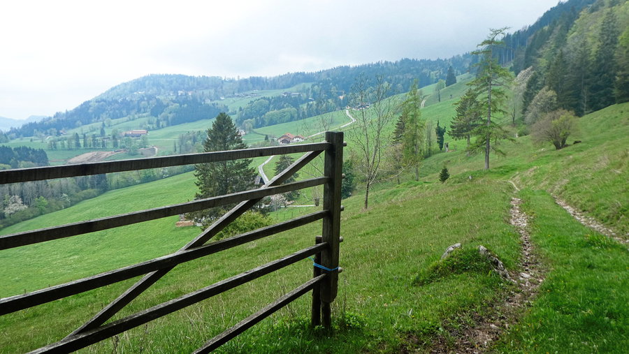 Hinterfeld. Foto: Karl Plohovich