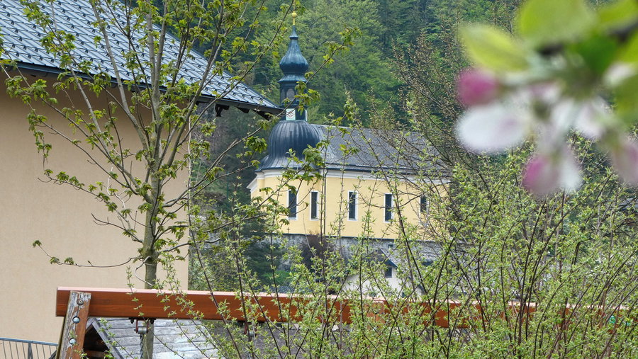 Ebenau. Foto: Karl Plohovich