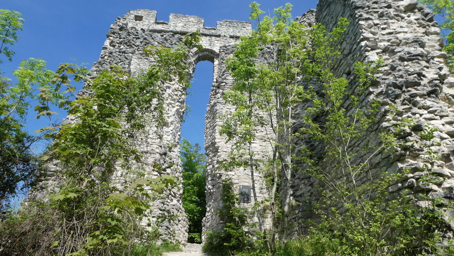 Ruine Thürndl. Foto: Karl Plohovich