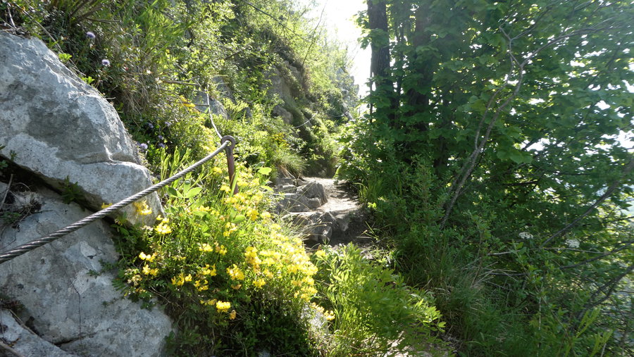 Aufstieg zum Kleinen Barmstein. Foto: Karl Plohovich