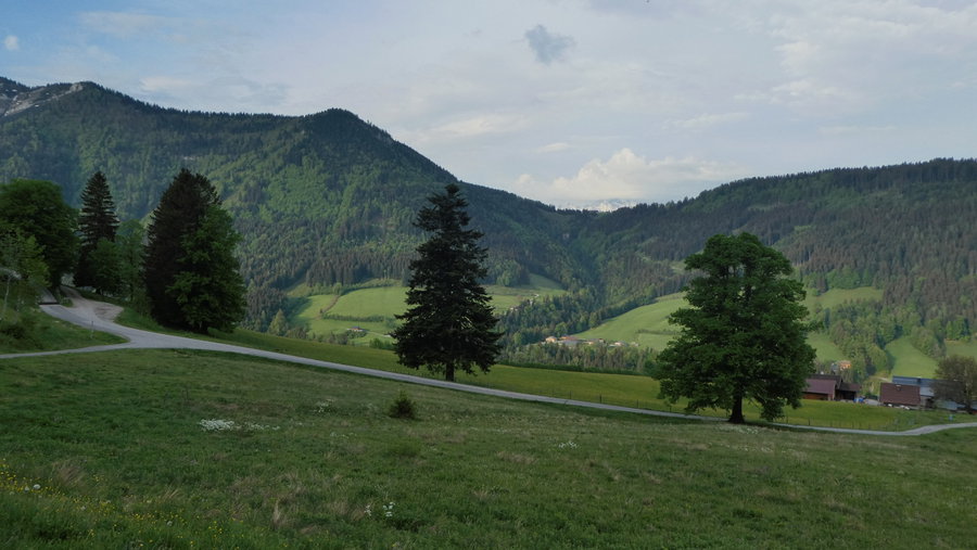 Bei Oberanger. Foto: Karl Plohovich