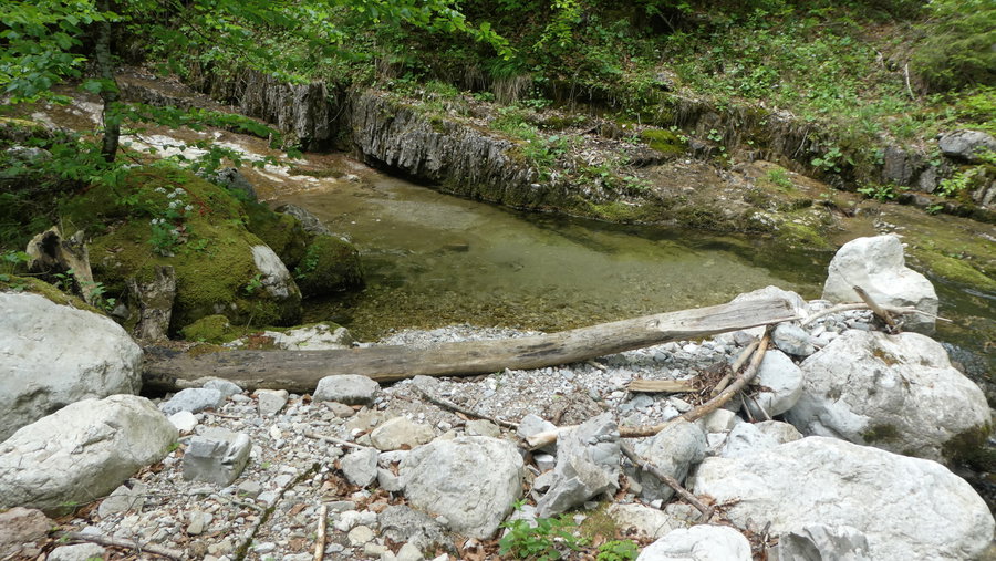 Kasbach - Seelebaumelrast. Foto: Karl Plohovich