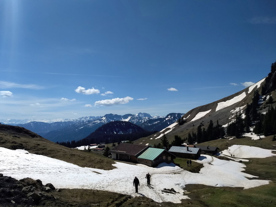 Raukopfalm. Foto: Nikolaus Vogl