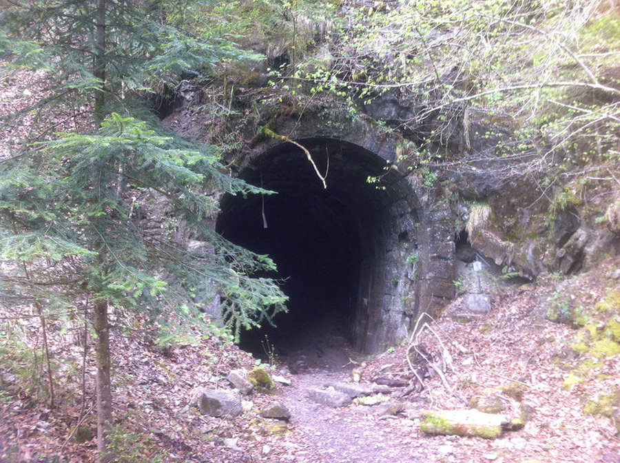 Rotachtunnel. Foto: Norman und Lisa