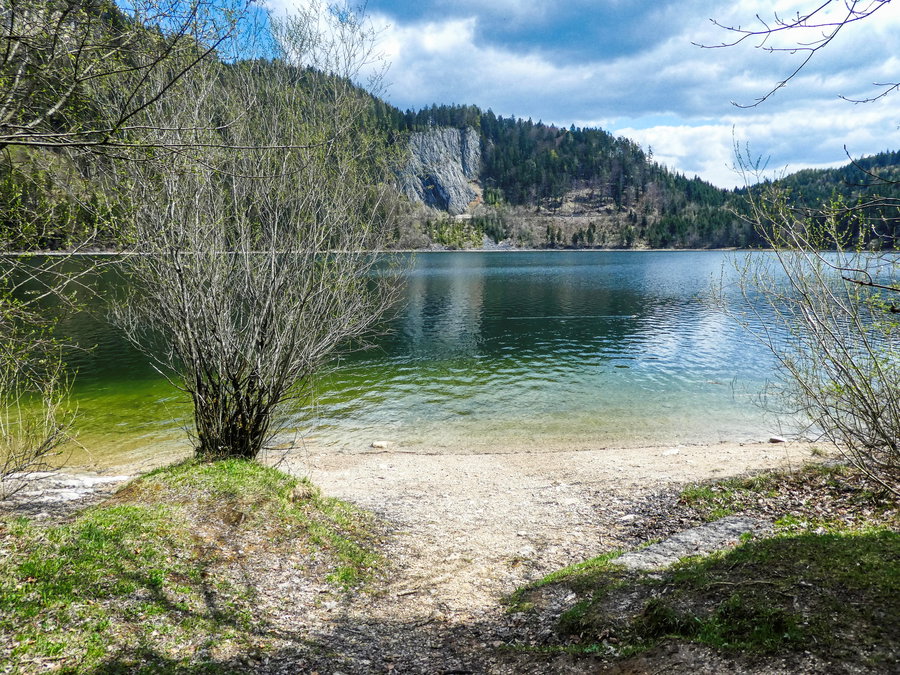 Nordufer Schwarzensee. Foto: Eva Maria Ginal