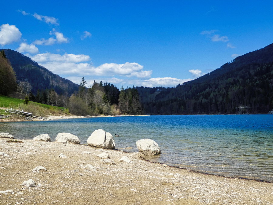 Südöstliches Ufer Schwarzensee. Foto: Eva Maria Ginal