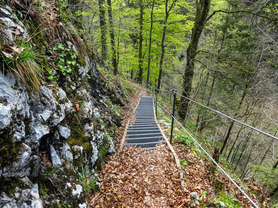 Wirersteig. Foto: Eva Maria Ginal