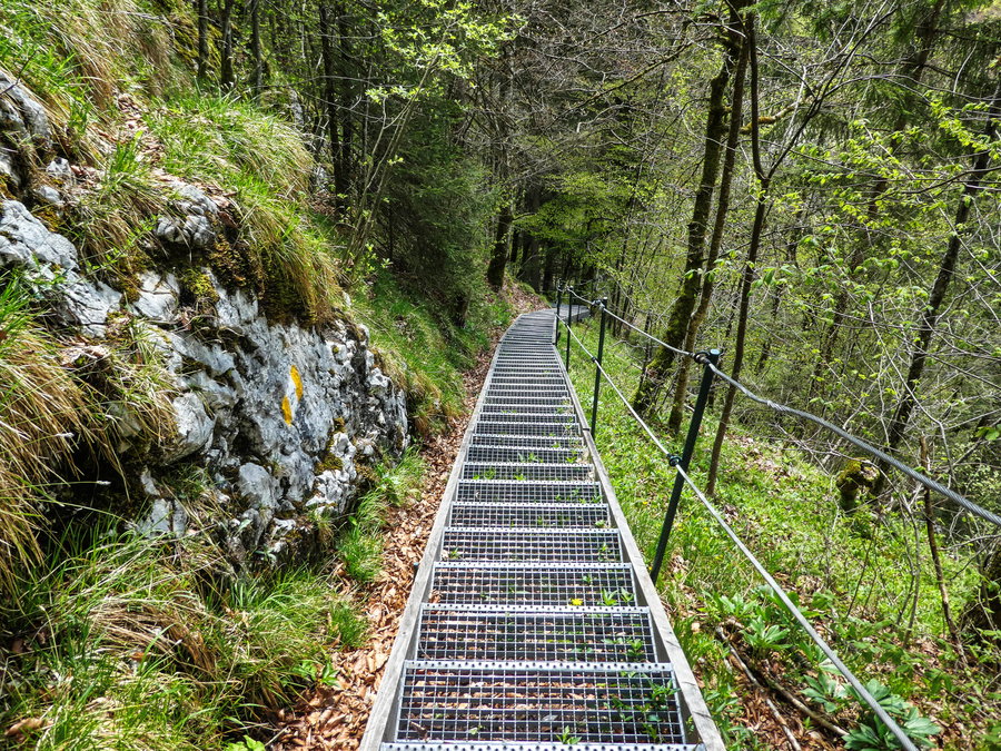Sehr lange Treppe Wirersteig. Foto: Eva Maria Ginal