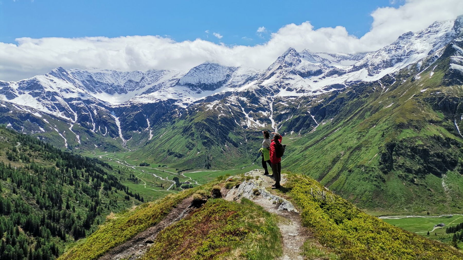 Blick in die Goldbergguppe. Foto Veronika Schöll
