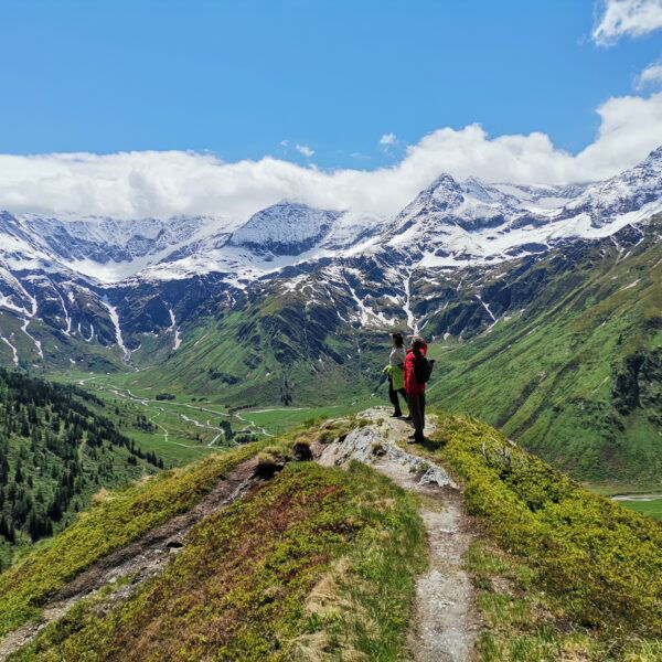 Blick in die Goldbergguppe. Foto Veronika Schöll