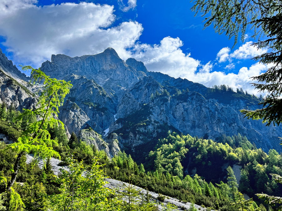 Am Weg zur Mödlingerhütte. Foto: Birgit Matzinger