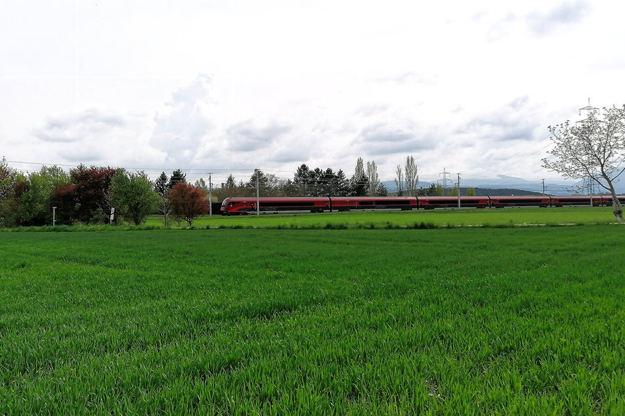 Der wär eh nicht stehengeblieben… Foto: Sarah Pallauf