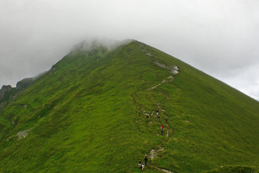 Die lezten Meter auf den Gipfel Holenke. Foto: Normann und Lisa