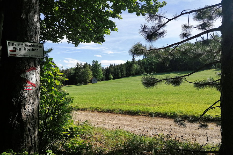 #endlichwiederam231er Foto: Sarah Pallauf