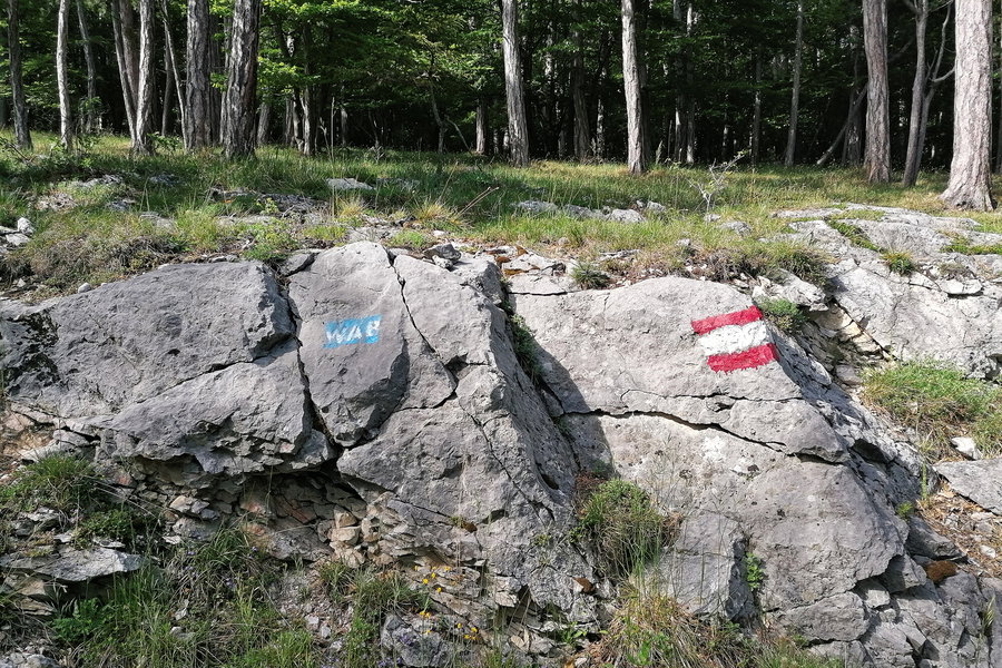 Endlich wieder am Weg! Foto: Sarah Pallauf