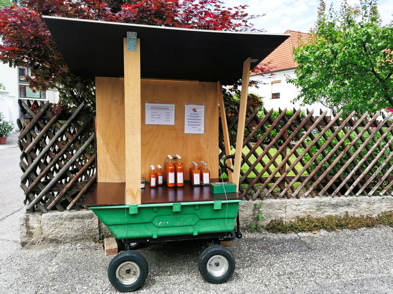 Erster Marillenstand. Foto: Sarah Pallauf