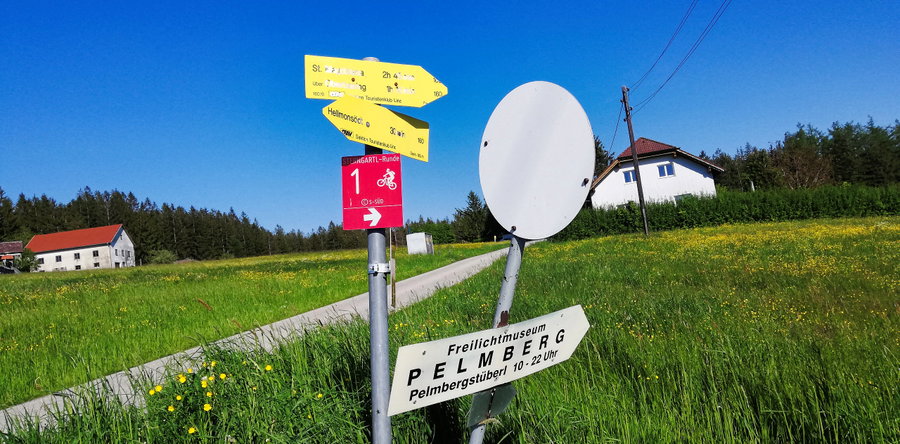 Nach ein paar Metern auf der Straße, rechts auf ein Wegerl Richtung Pelmberg abbiegen. Foto: Sarah Stainer