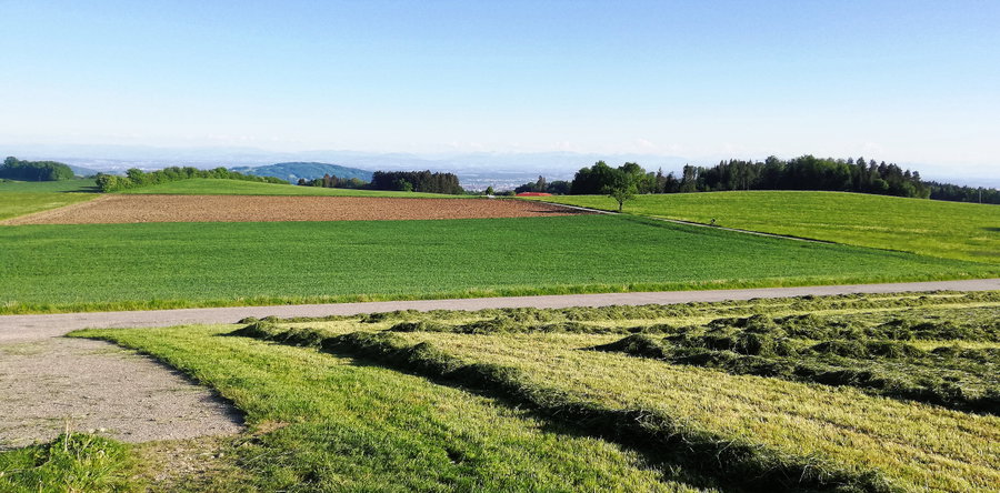  Im Zickzack zuerst nach rechts und dann nach links. Foto: Sarah Stainer