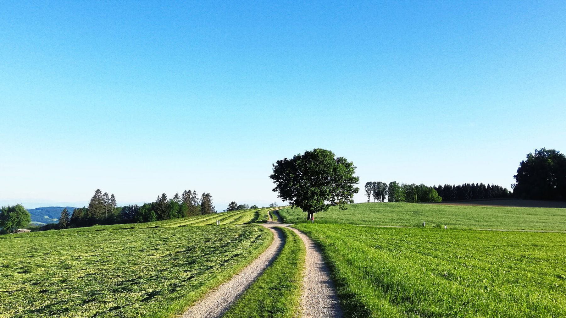 Blau und Grün – eine schöne Farbkombination. Foto: Sarah Stainer