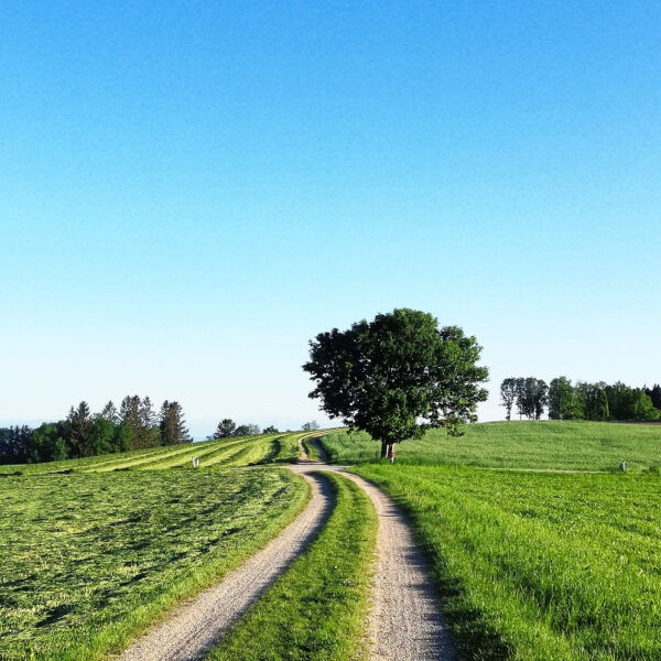 Blau und Grün – eine schöne Farbkombination. Foto: Sarah Stainer