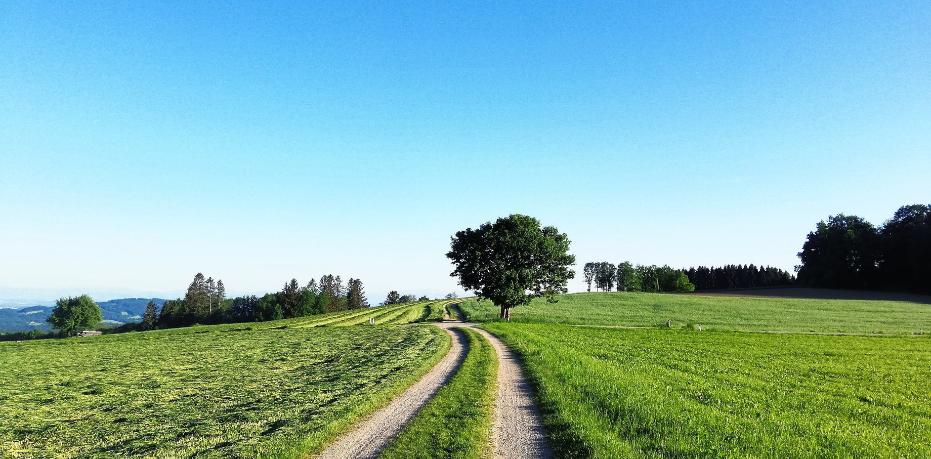 Blau und Grün – eine schöne Farbkombination. Foto: Sarah Stainer