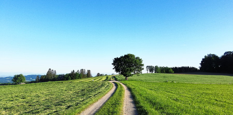 Blau und Grün – eine schöne Farbkombination. Foto: Sarah Stainer