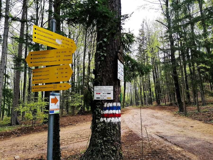 Immer diese Entscheidungen! Foto: Sarah Pallauf