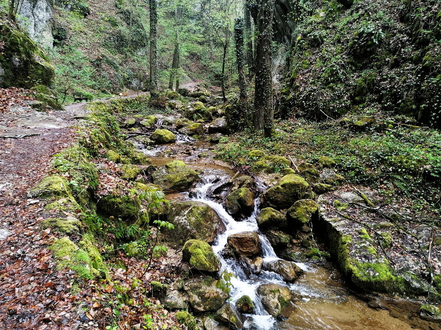 Johannesbach. Foto: Sarah Pallauf