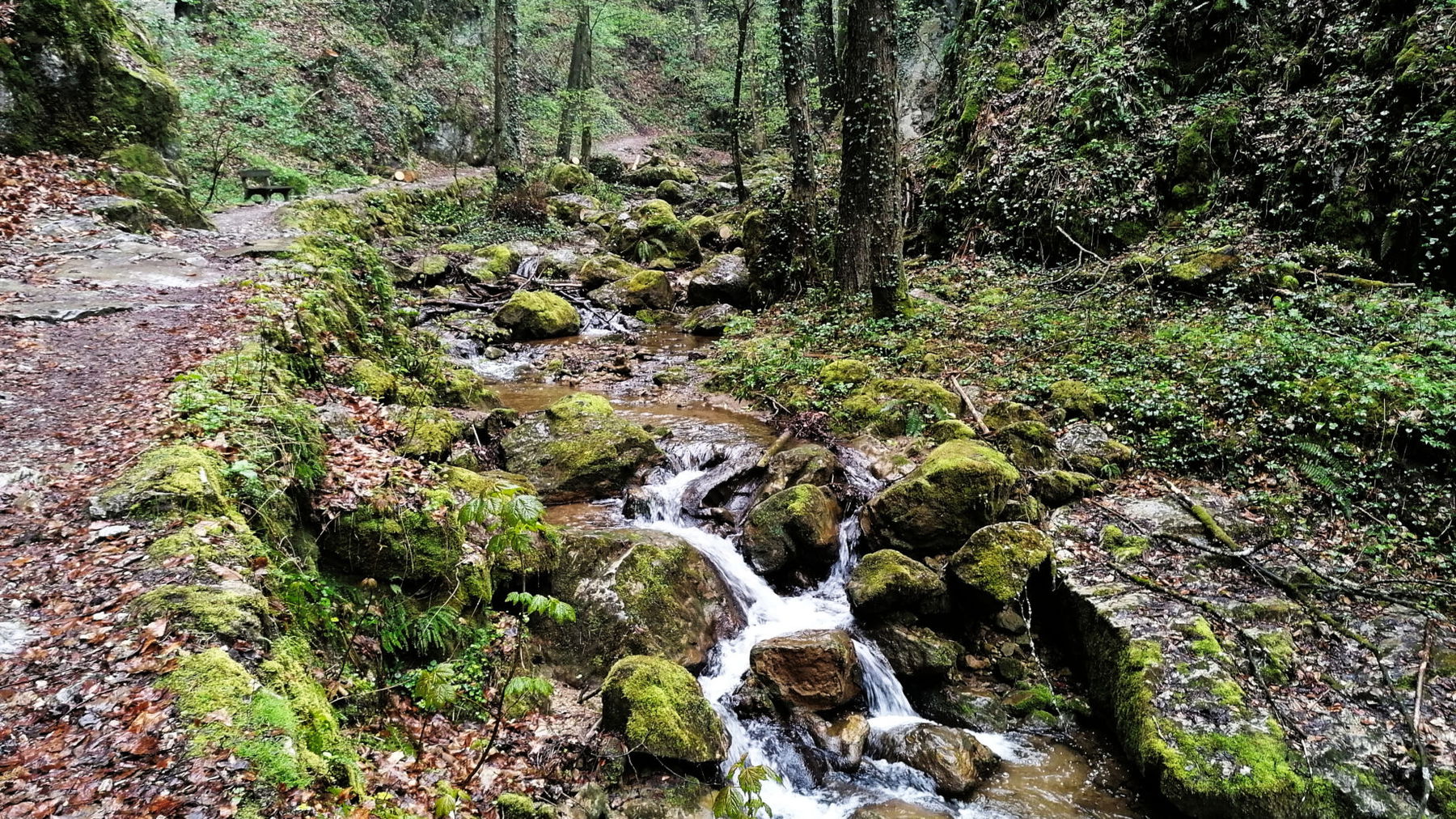 Johannesbach. Foto: Sarah Pallauf