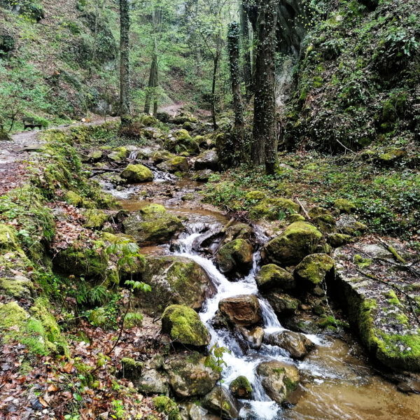 Johannesbach. Foto: Sarah Pallauf