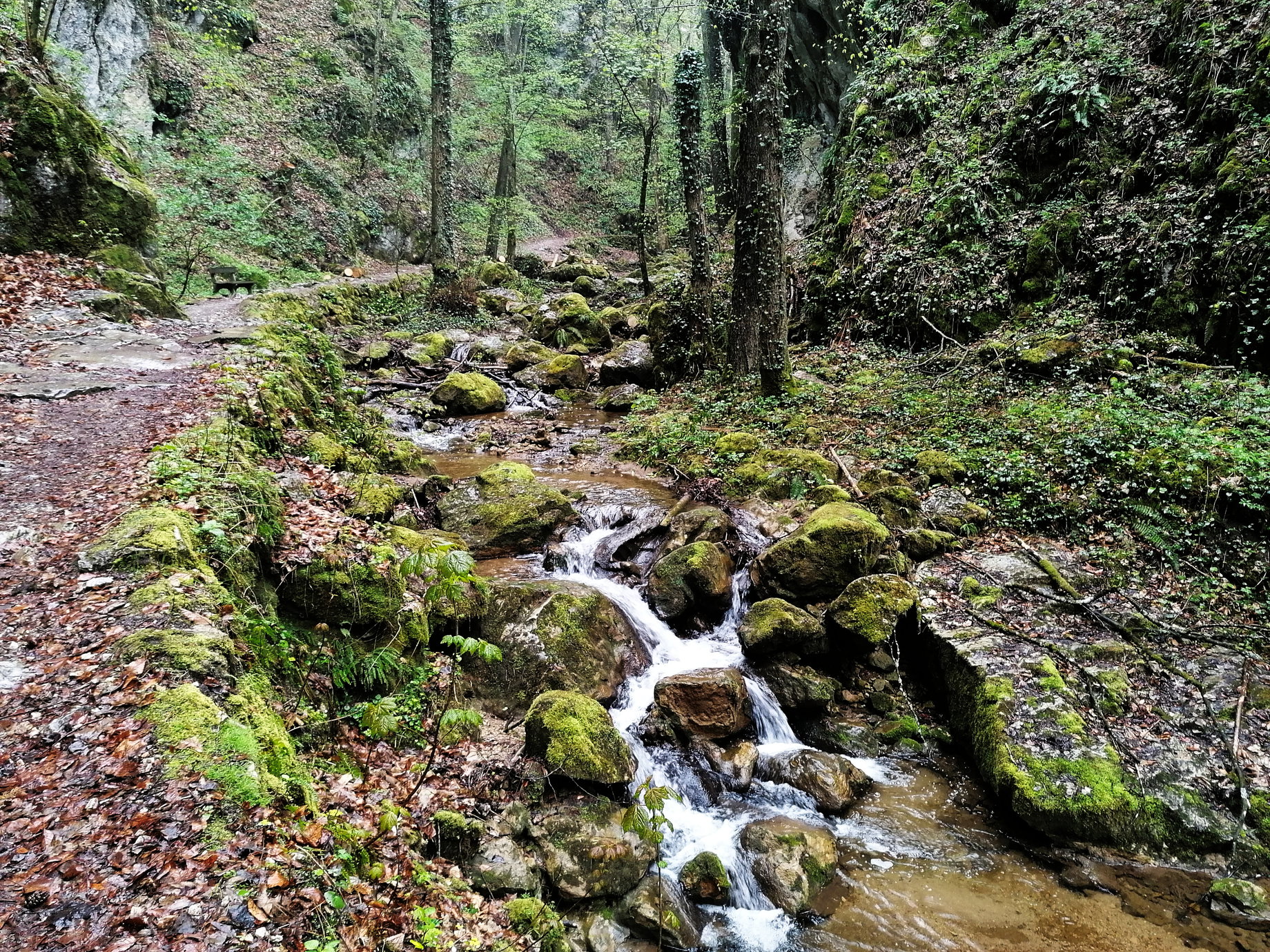 Johannesbach. Foto: Sarah Pallauf