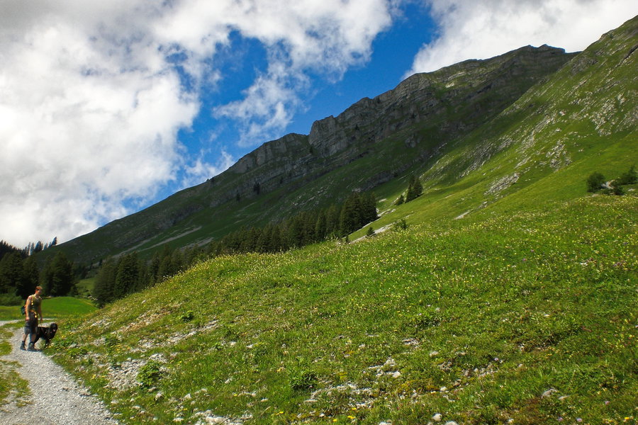 Auf dem Weg kurz vor der Oberen Alpe. Foto: Normann und Lisa
