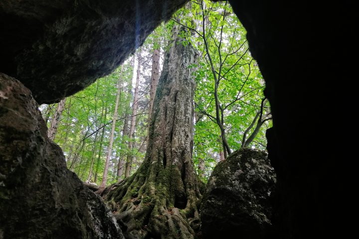 Myrafälle-Impression 1. Foto: Sarah Pallauf