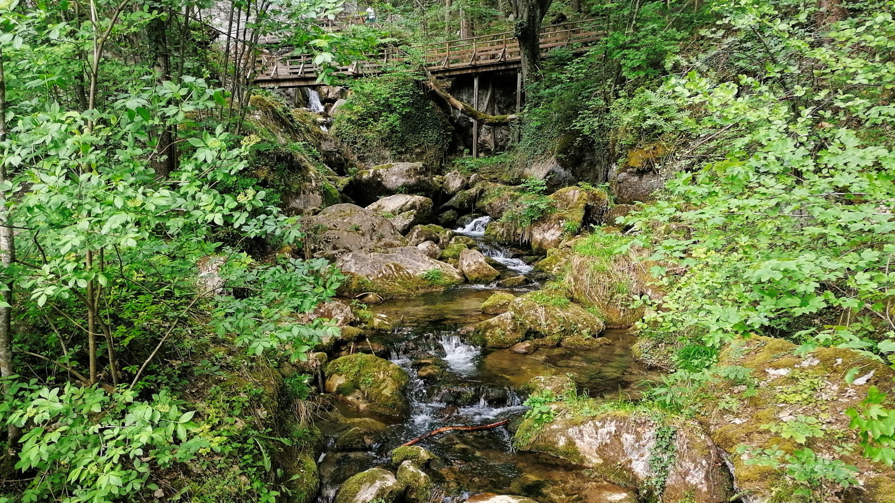 Myrafälle-Impression 2. Foto: Sarah Pallauf