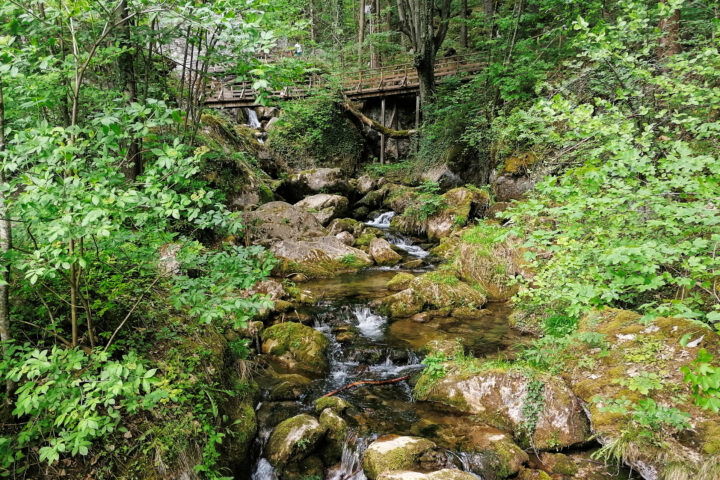 Myrafälle-Impression 2. Foto: Sarah Pallauf