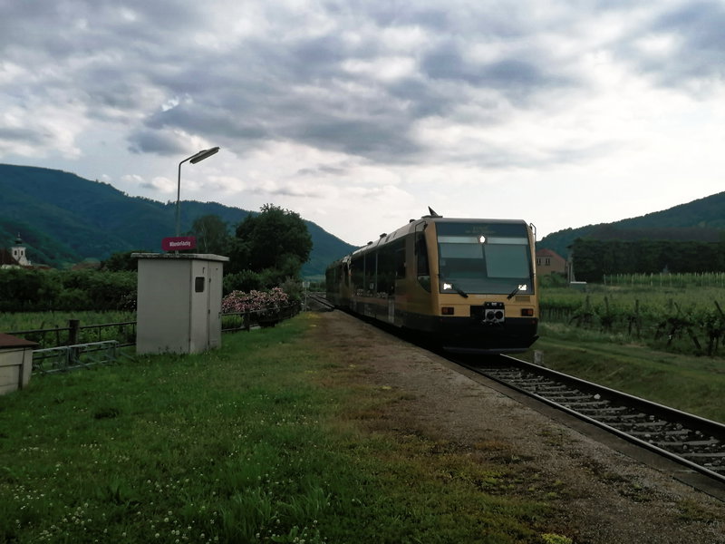 Nicht ganz billig, dafür im Panoramawaggon. Foto: Sarah Pallauf