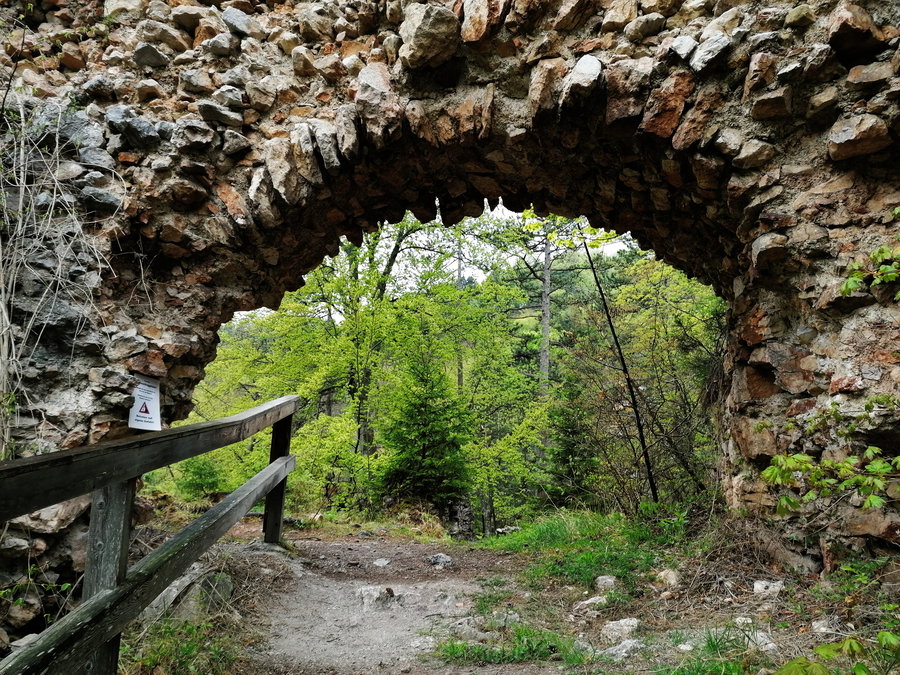 Ruine Schrattenstein. Foto: Sarah Pallauf