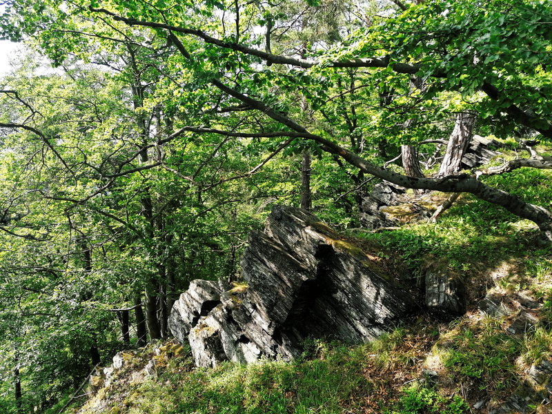 Wachauer Felsformationen. Foto: Sarah Pallauf