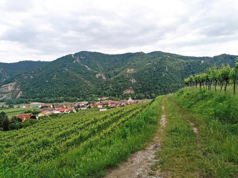 Wösendorf. Foto: Sarah Pallauf