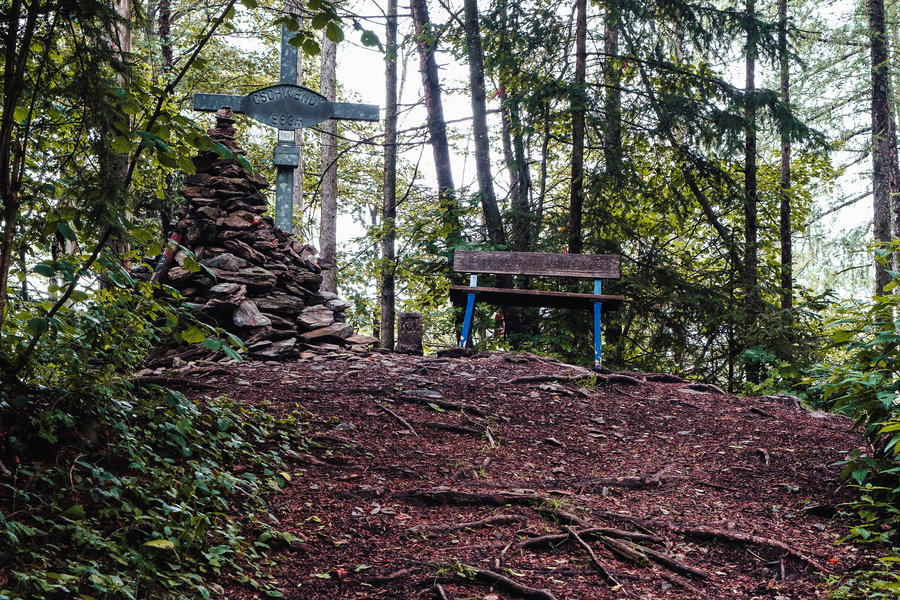 Ziel erreicht! Wir sind am Gschwendtberg angekommen. Foto: Stefan Galler