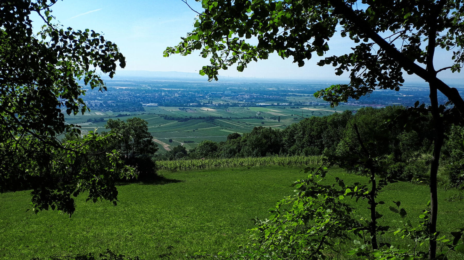 Blick ins Wiener Becken. Foto: Gerold Petritsch