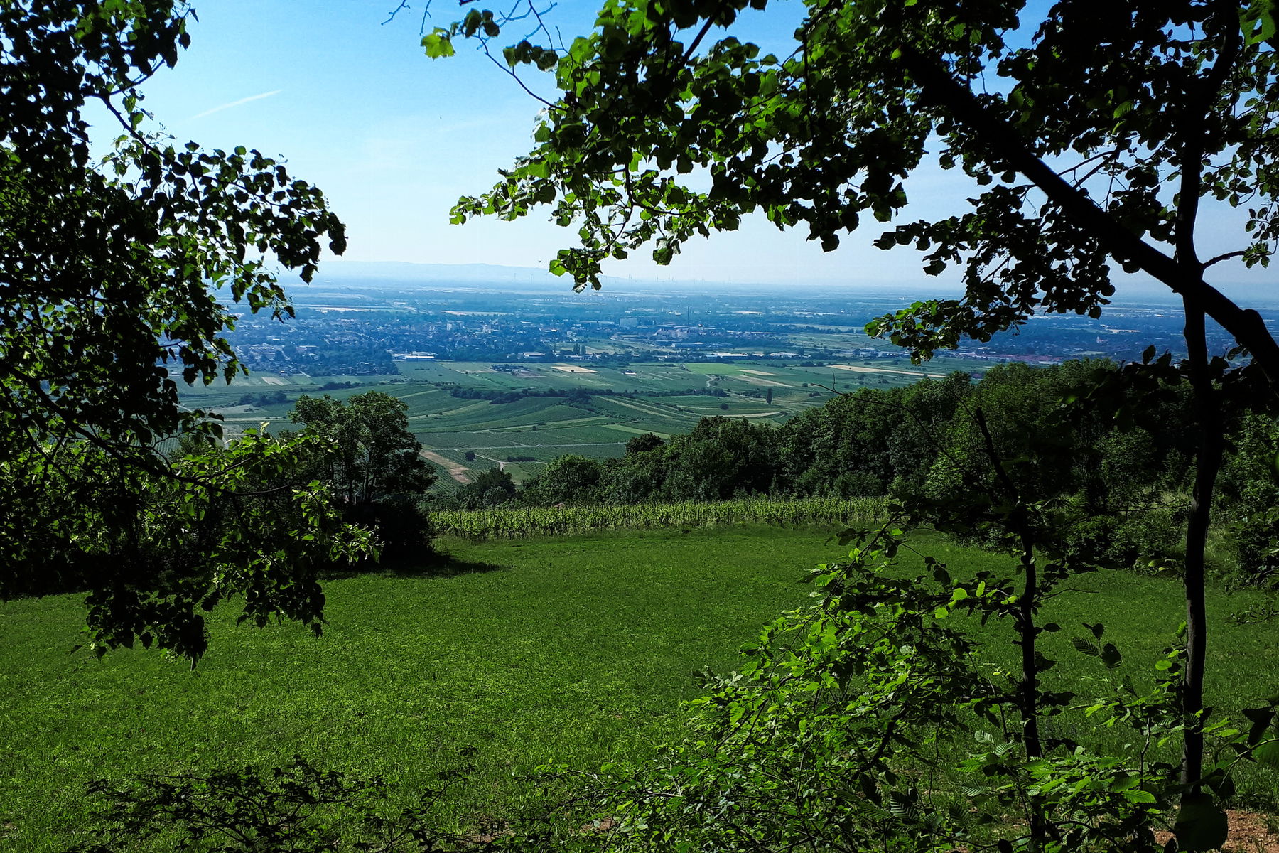 Baden – Anninger: Wandern und Kultur